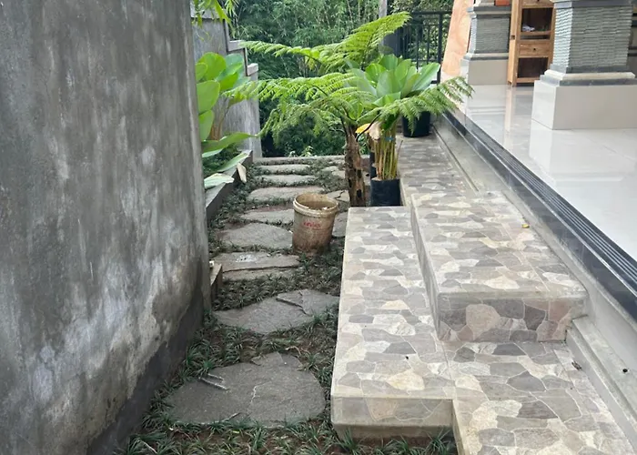 Backyard Guest house