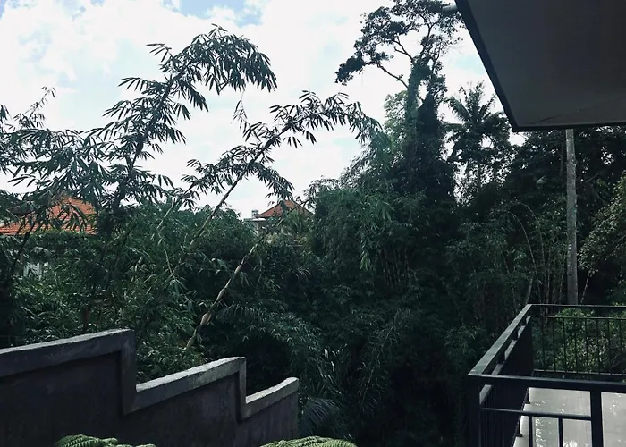 Backyard *