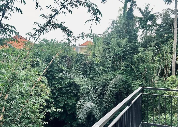 Guest house Backyard