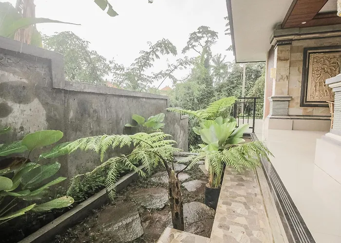 Guest house Backyard