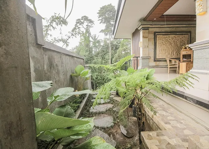 Guest house Backyard *