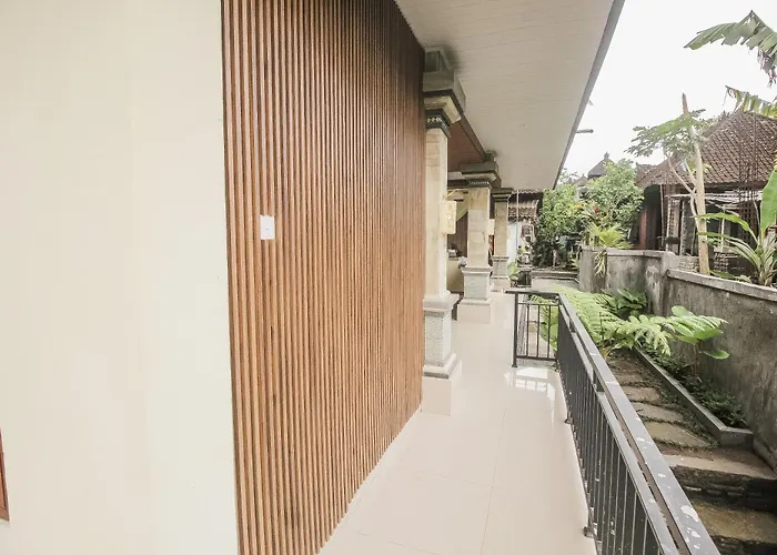 Backyard *