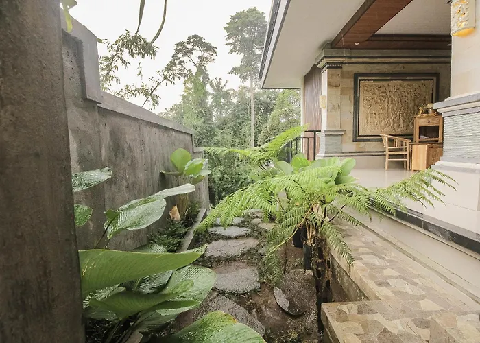 Guest house Backyard